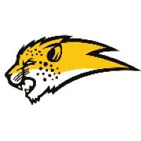 Image result for Chiltern Cheetahs American Football Club