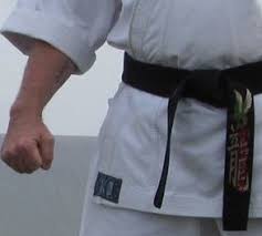 Image result for Twyford Higashi Karate Club