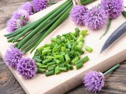 Image result for Schnittlauch