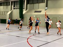 Image result for Blue Jays Netball Club