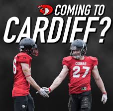 Image result for Cardiff Cobras