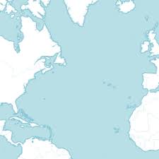 Attēlu rezultāti vaicājumam “Serpoleskea subtilis”