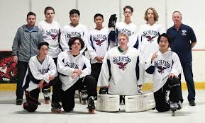 Image result for Team-Tigers Roller Hockey Club