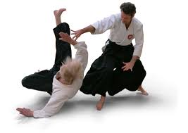 Image result for Kokyu Aikido Association