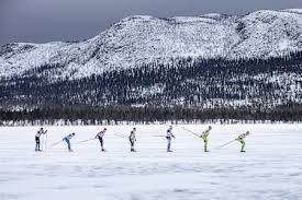 Image result for Scandinavian slope and cross country skiing
