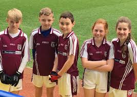 Image result for Bredagh G A C