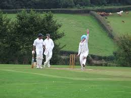 Image result for Dinas Powys Cricket Club