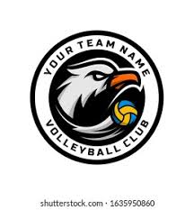 Image result for White Eagles Volleyball Club