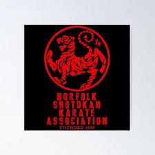 Image result for Norfolk Karate