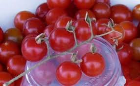 Afbeeldingsresultaat voor hawaiian white cherry tomato