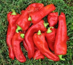 Afbeeldingsresultaat voor long red marconi sweet pepper