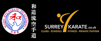 Image result for Haslemere Karate Club