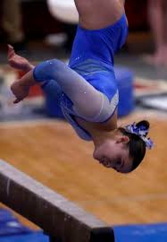 Image result for Vernon Park Gymnastics