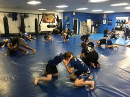 Image result for Arlington Martial Arts Academy