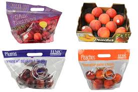 Attēlu rezultāti vaicājumam “Linaria loeselii fruit”