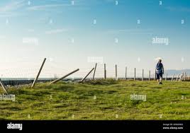 Image result for Borth & Ynyslas Golf Club