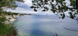 Image result for stevns klint