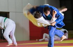 Image result for Hachidori ju-jitsu Martial Arts