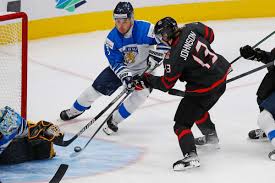Image result for Ice Hockey International