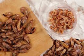 Attēlu rezultāti vaicājumam “Crangon crangon”