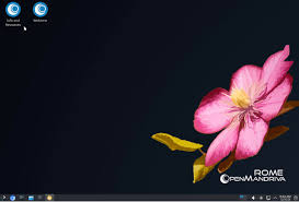 Image result for Mandriva