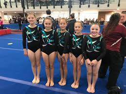 Image result for Ipswich Gymnastics