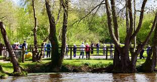 Image result for Wellington Petanque Club