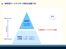 Image result for 衝動制御障害BPD