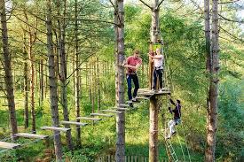 Image result for Go Ape! Thetford