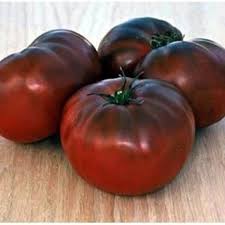 Afbeeldingsresultaat voor black brandywine tomato