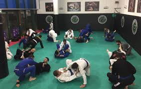 Image result for British Jiu-Jitsu School