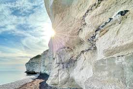 Image result for stevns klint