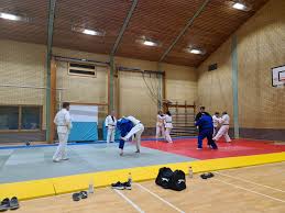 Image result for Southend Judo Club