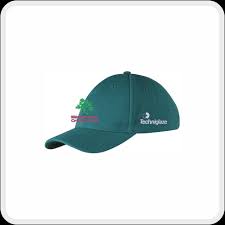 Image result for Midsomer Norton Cricket Club