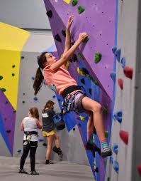 Image result for High Sports Climbing Wall