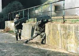 Image result for papop