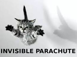 Image result for invisible cat