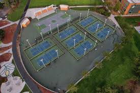 Image result for Evergreens Badminton Club