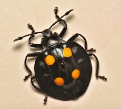 Attēlu rezultāti vaicājumam “Hylecoetus dermestoides female”