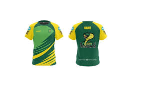 Image result for Churt Cricket Club