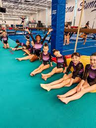Image result for Phoenix Gymnastics
