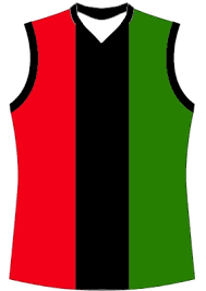 Image result for Aquinas Football Club