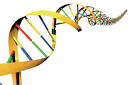 The Recruitment Genome Project: So Long Resumes, Hello DNA!