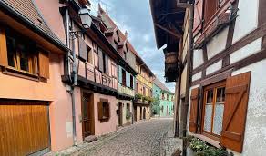 Znalezione obrazy dla zapytania francuski