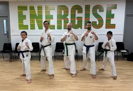 Image result for Kenshukai Karate