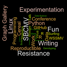 Image result for wordcloud