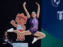 Image result for Aero Gymnastics Club