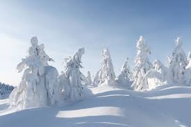 Image result for schnee