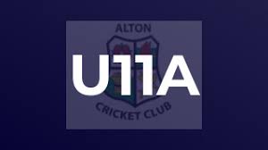 Image result for Alton Cricket Club