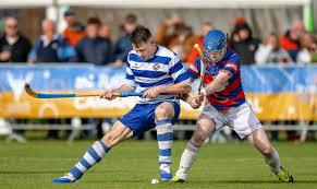 Image result for World of Shinty